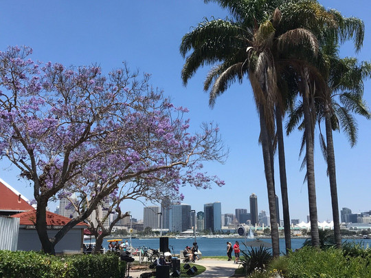 Holland's Bicycles-科罗纳多必去景点