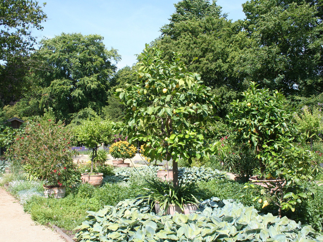 Botanischer Garten景点图片