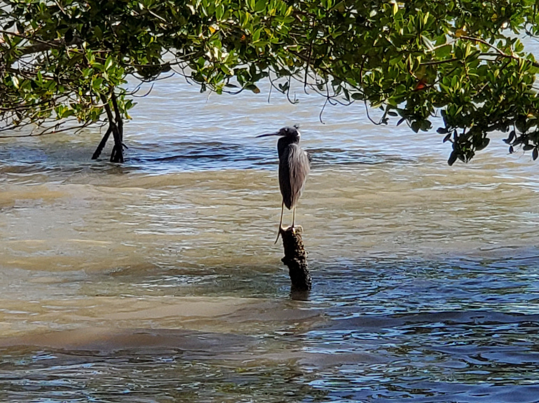 Coastal Prairie Trail-大沼泽国家公园必去景点