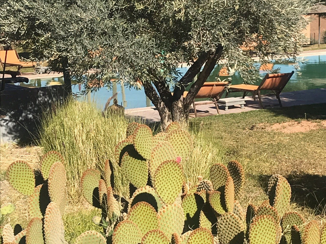 Shemsmoon Suites & Spa主图