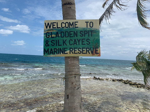 CAL Tropic Tours-克朗波因特必去景点