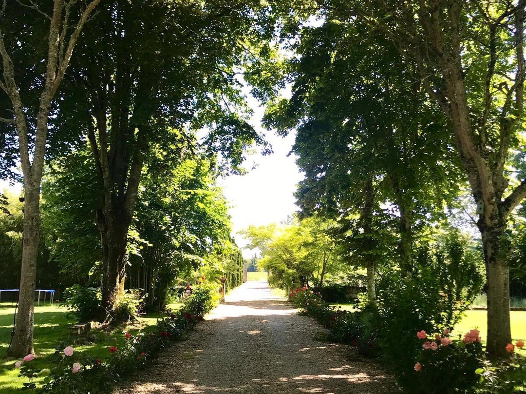 Château Latour Ségur Suites & Spa主图