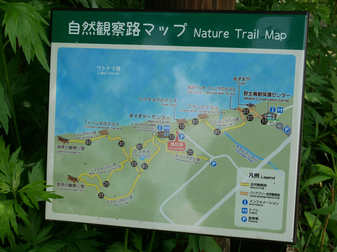 Lake Utonai Sanctuary景点图片