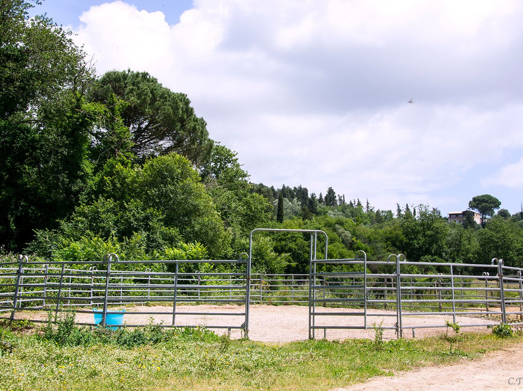 Silvaland-Kalafationes必去景点