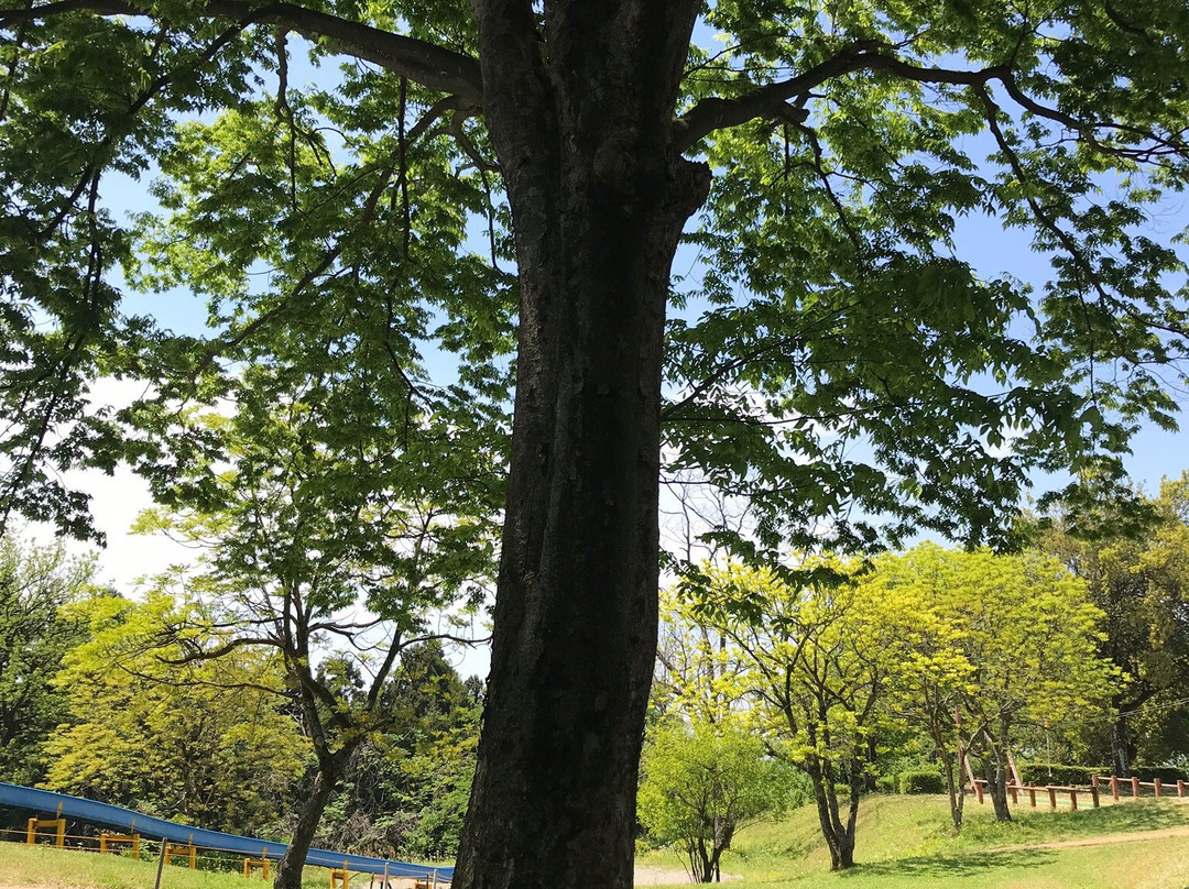 Tofukujino Nature Park景点图片