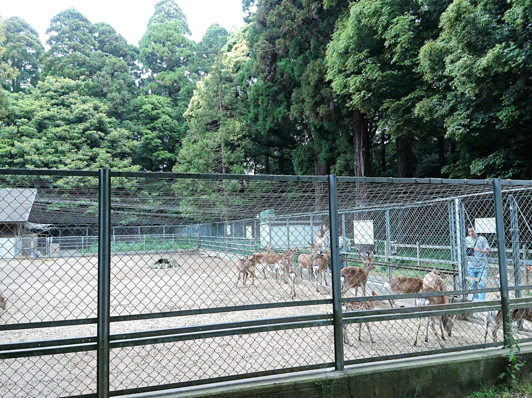 Kashima Jingu Kaen景点图片