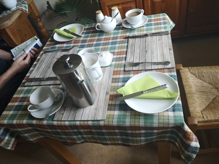 The Shimmerings主图