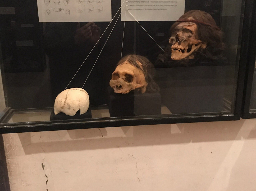Museo Arqueologico de Los Andes-Los Andes必去景点
