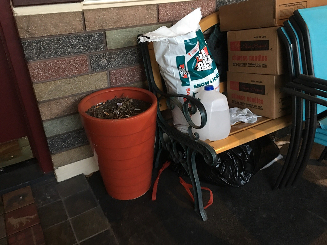 Flamingo Motel主图