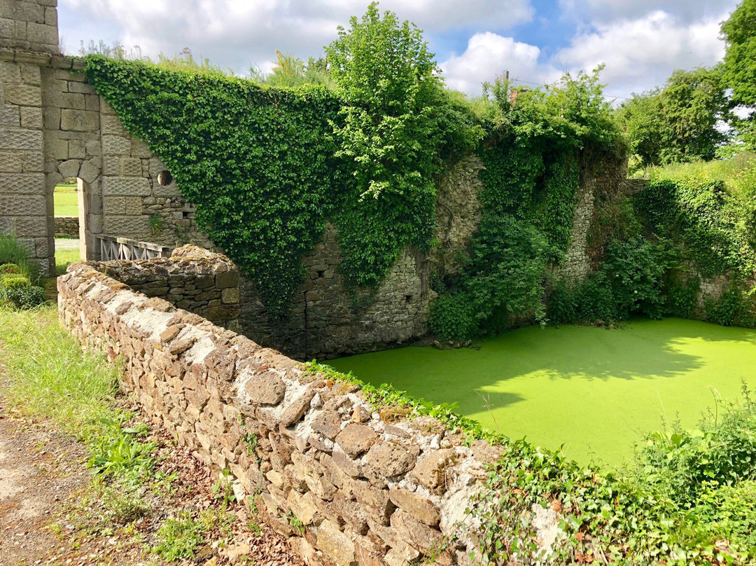 Chateau De La Chasse-Guerre主图