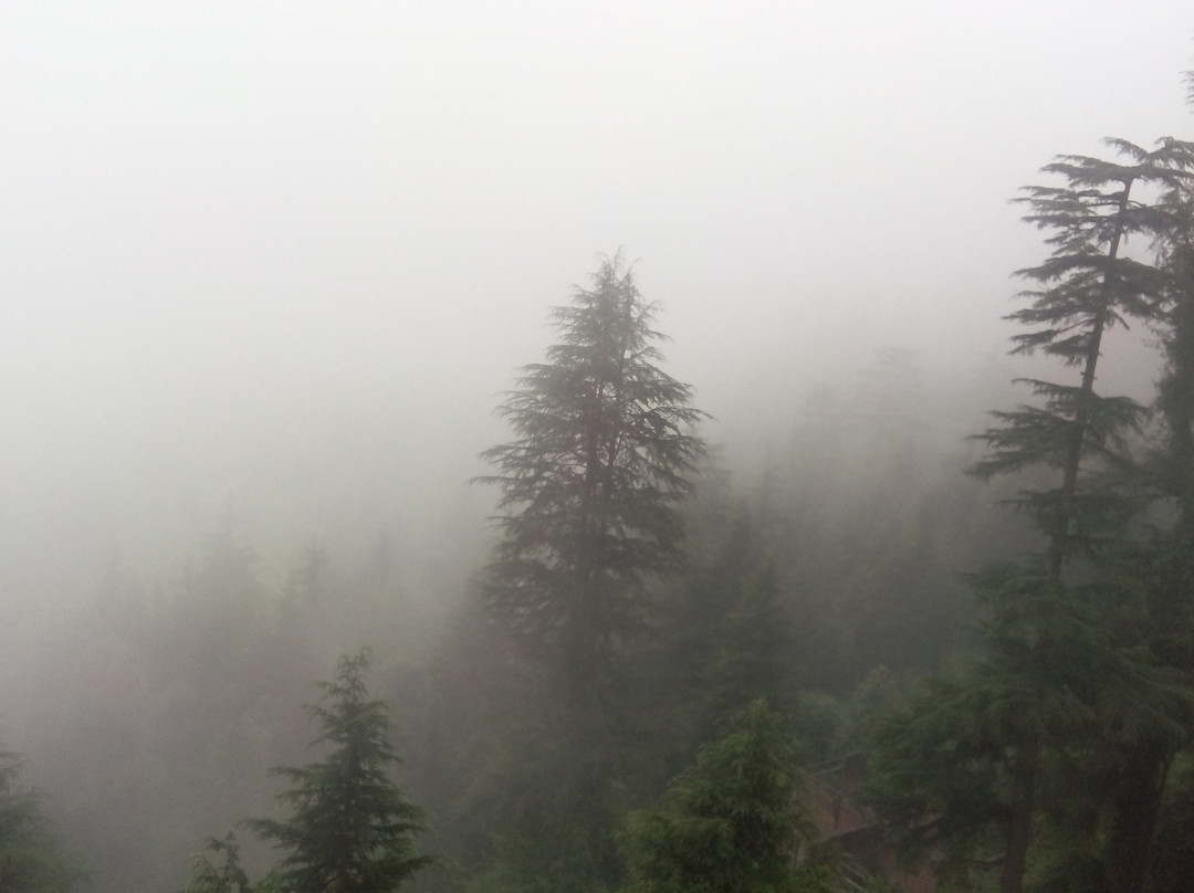 Hotel Mini Swiss主图