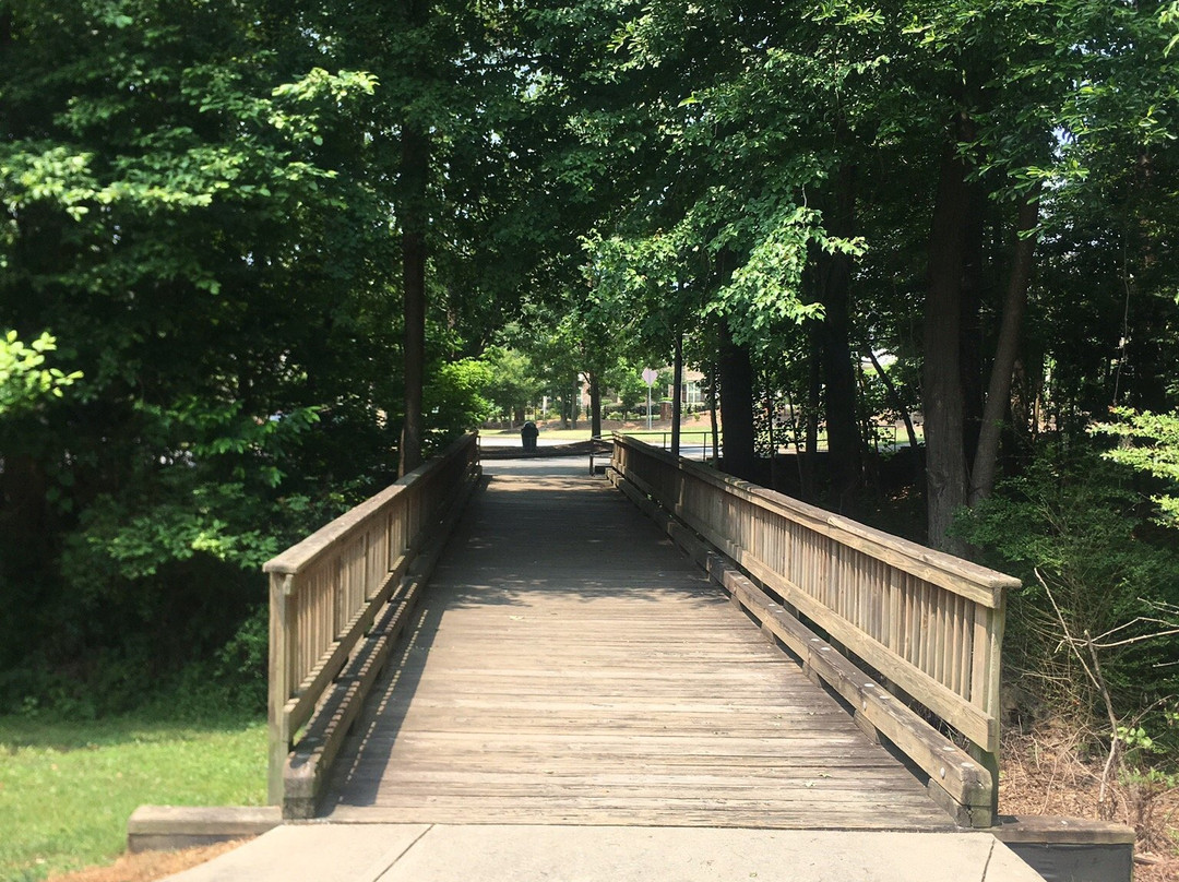 Wills Park-阿尔法利塔必去景点