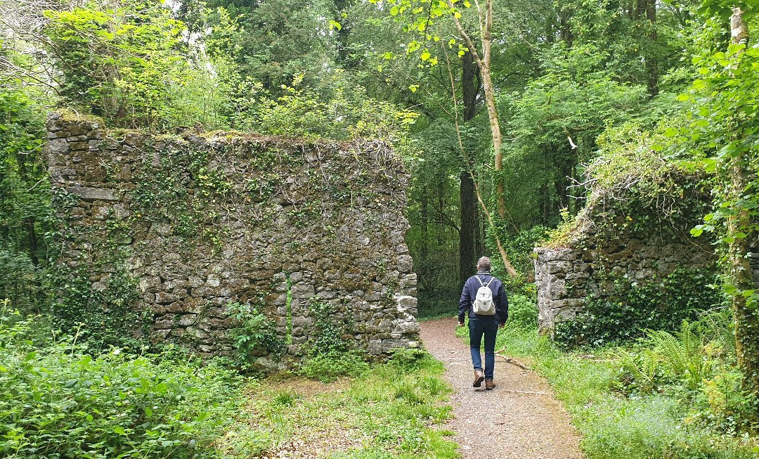 Dromore Wood Nature Reserve-恩尼斯必去景点