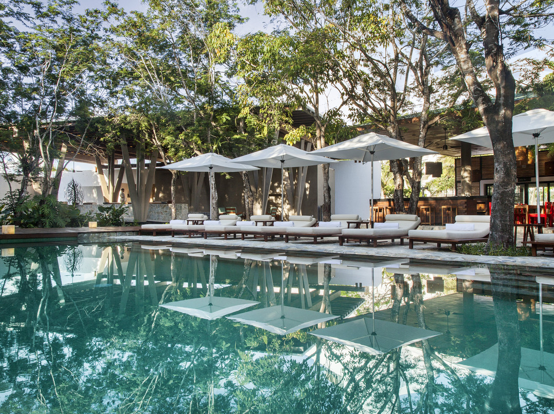 The Explorean Cozumel主图