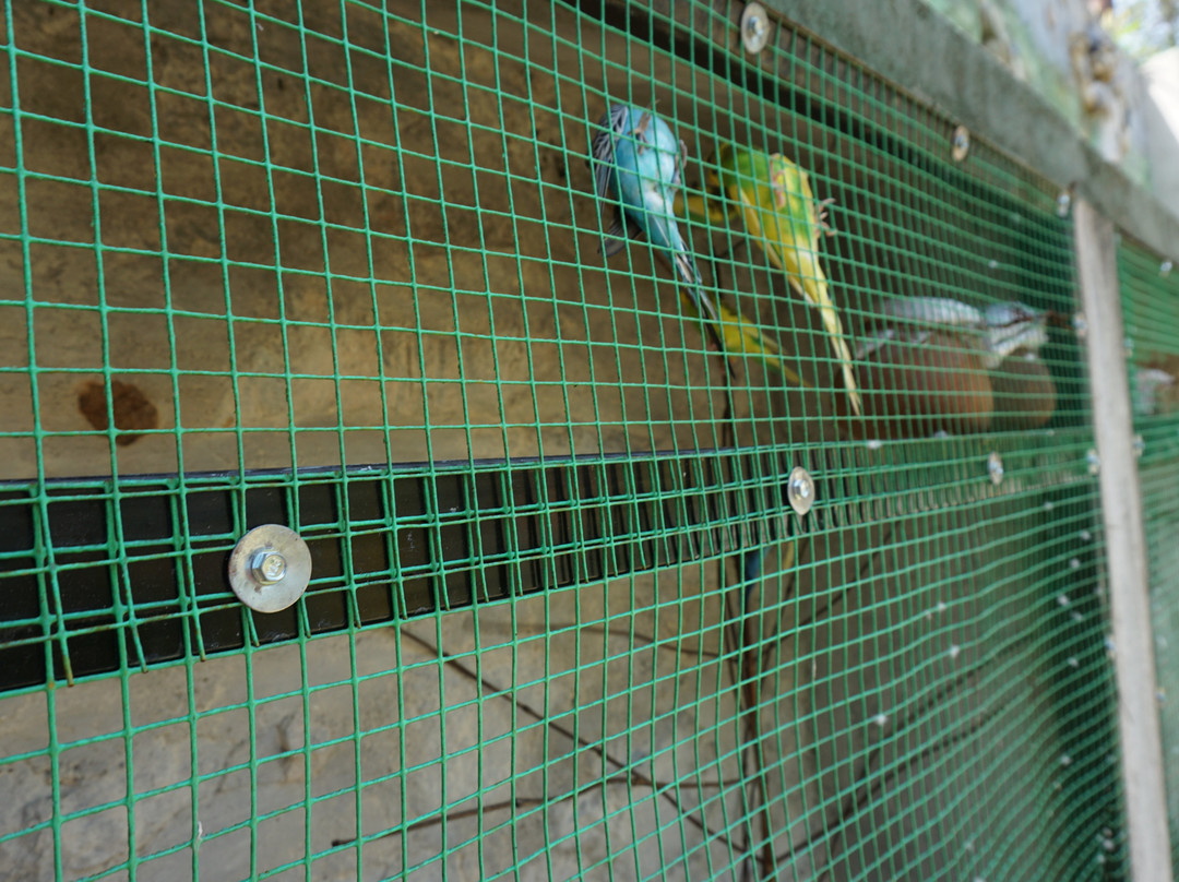 The Wave Lakeview Resort & Spa主图