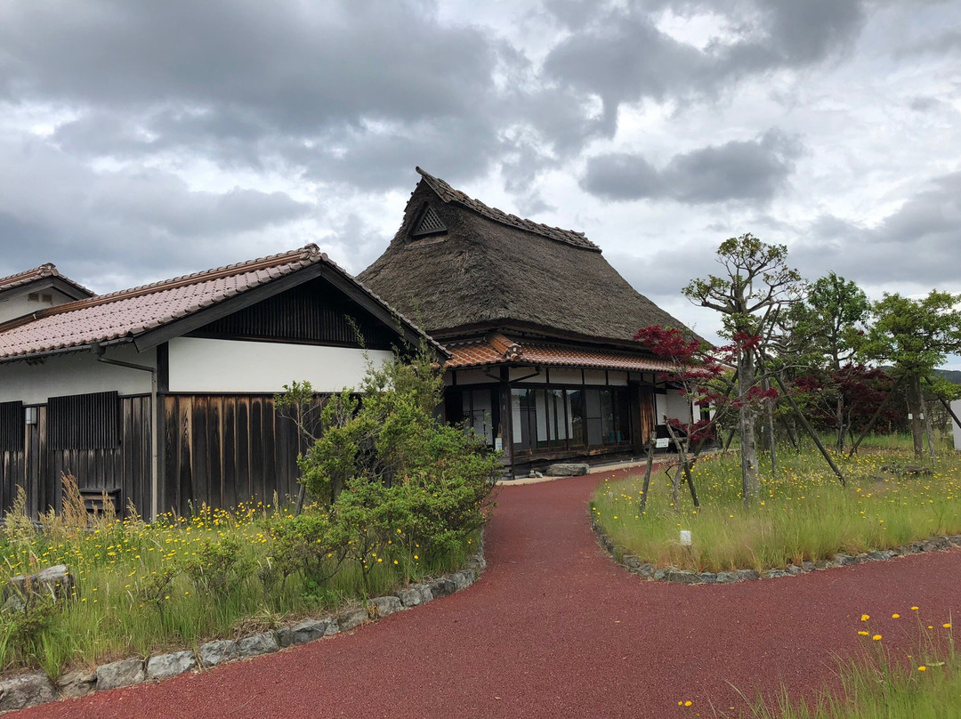 安来市旅游景点-Izumo Orinoki Swan Farm Village