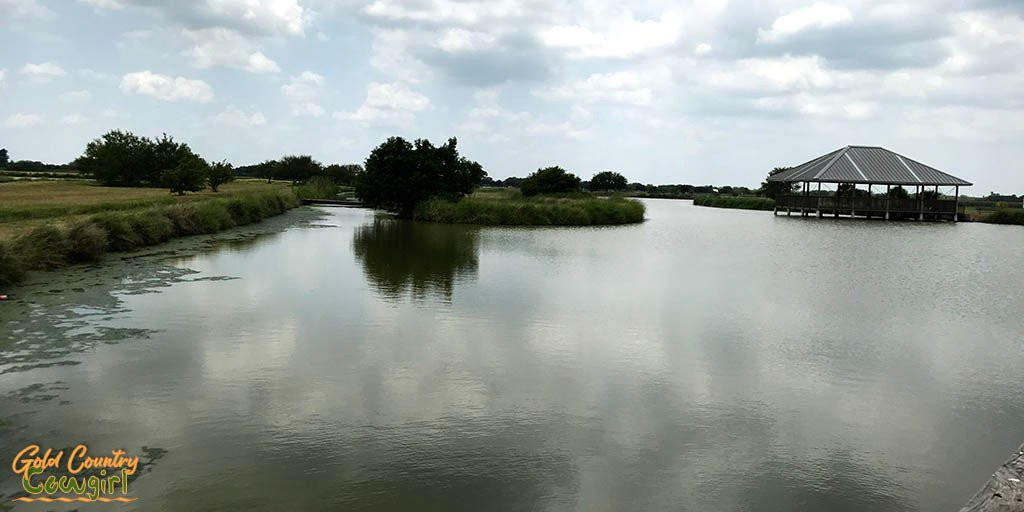 La Feria Nature Center-La Feria必去景点