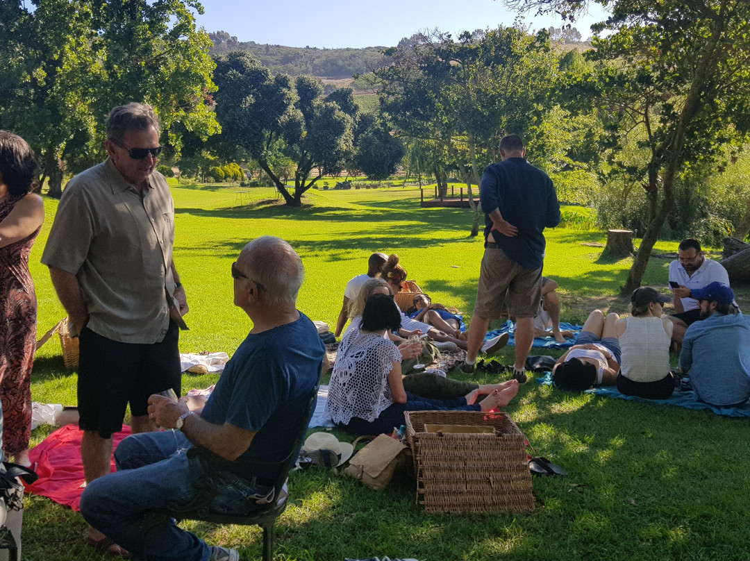 Double Gold Tours-开普敦中心区必去景点