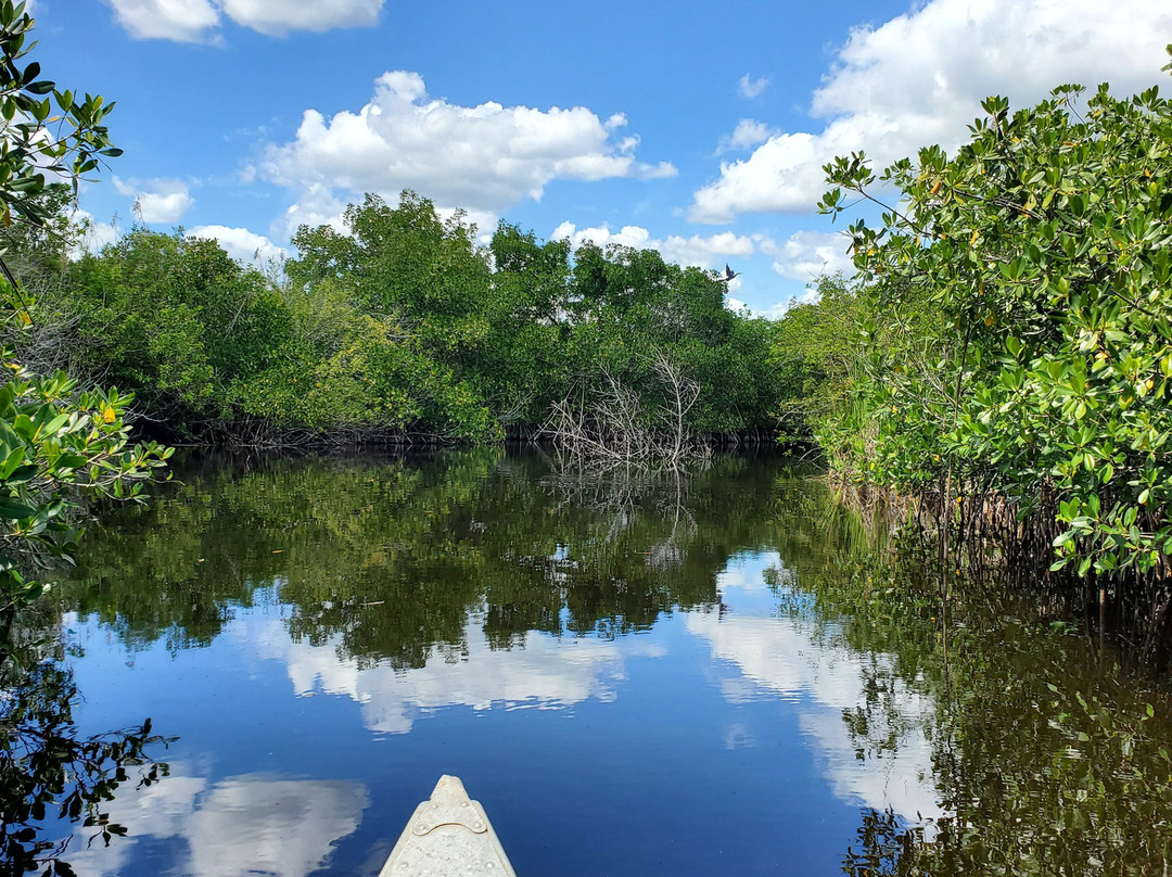 Turner River Paddling Trail-奥乔皮必去景点