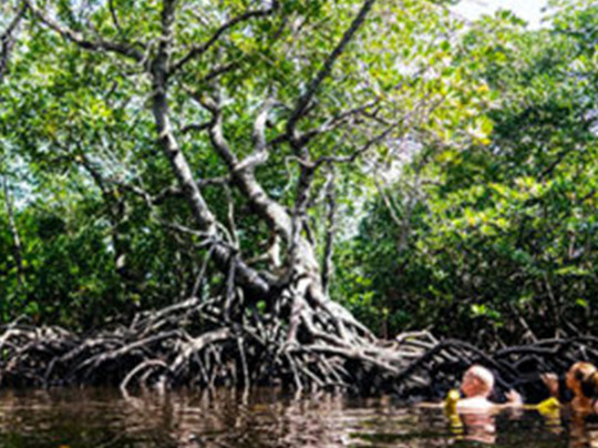 Revive Adventures-瓦塔木必去景点