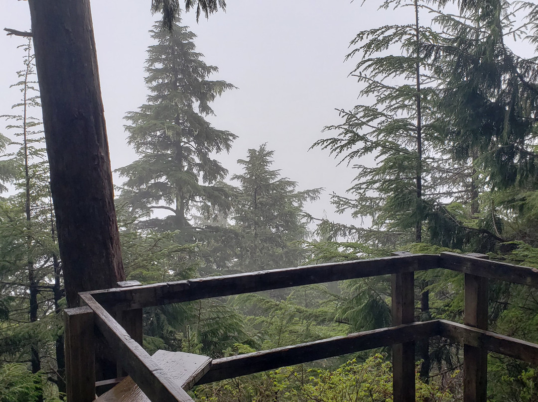 Harbor Mountain Trail-锡特卡必去景点