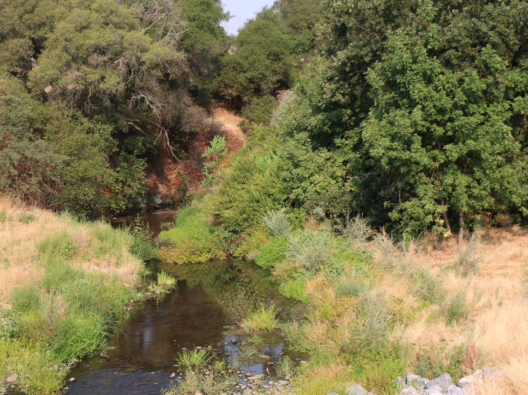 Antelope Creek Trail景点图片