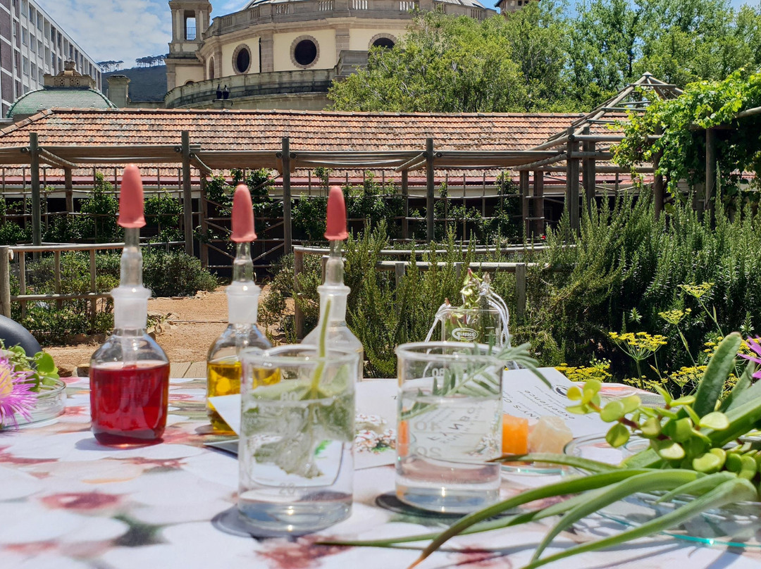 Cape Town Fynbos Experience