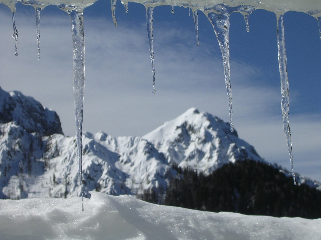 马尔博尔盖托瓦尔布鲁纳酒店住宿-Hotel La Baita