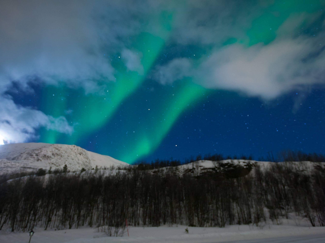 Gargia Lodge Northern Lights Adventures-阿尔塔必去景点