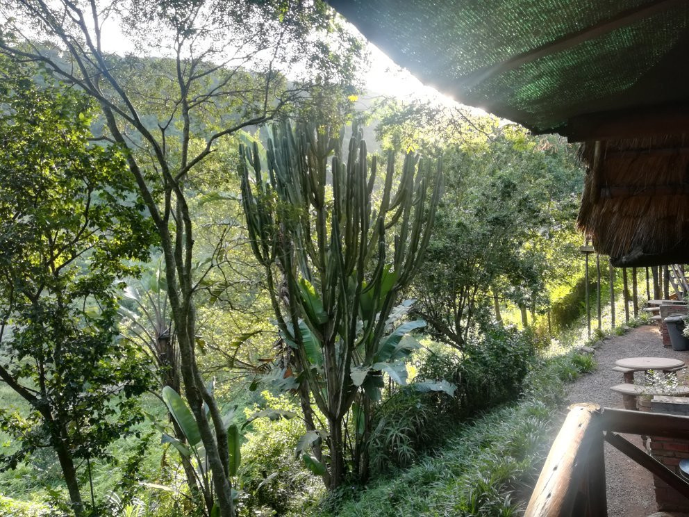 Tree House River Lodge主图