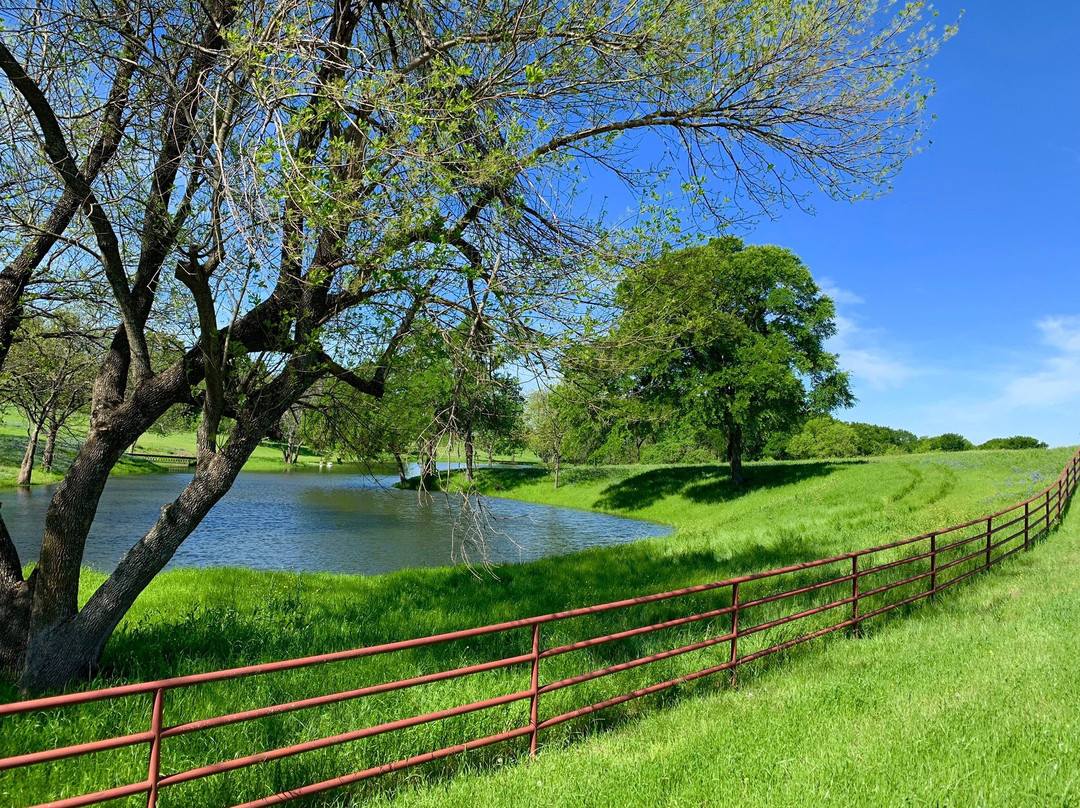 Bluebonnet Trail-恩尼斯必去景点
