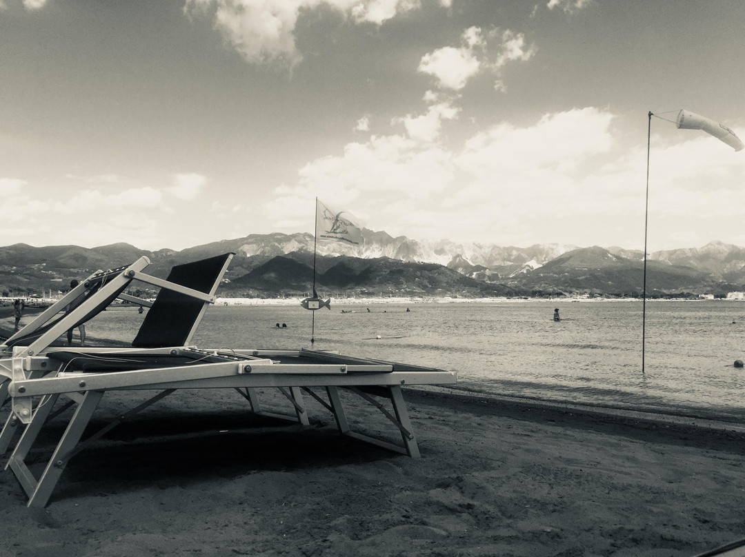 La Collina di Albiro主图