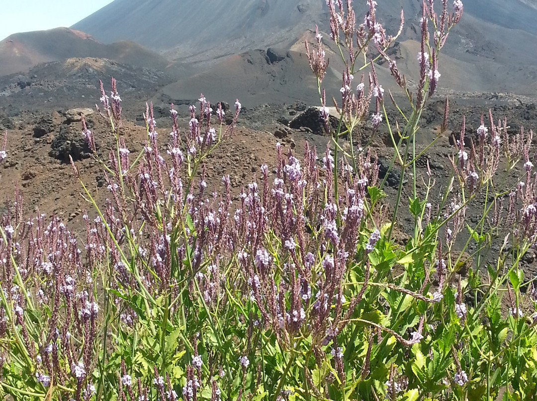 Qualitur Viagens e Turismo-Sao Filipe必去景点