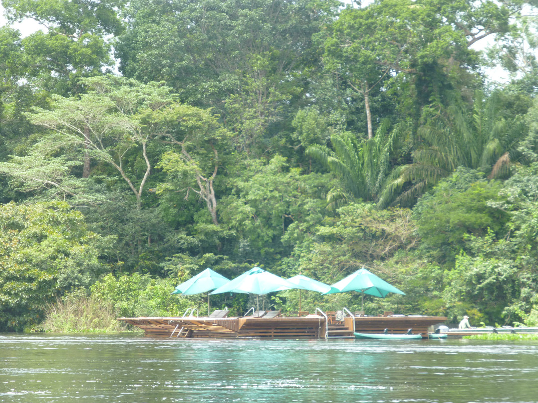 Alta Floresta旅游攻略图片