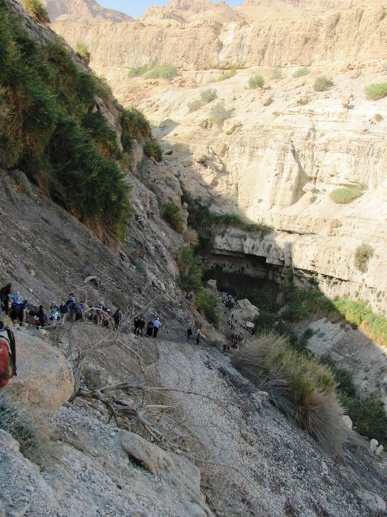 En Gedi Nature Reserve-死海地区必去景点