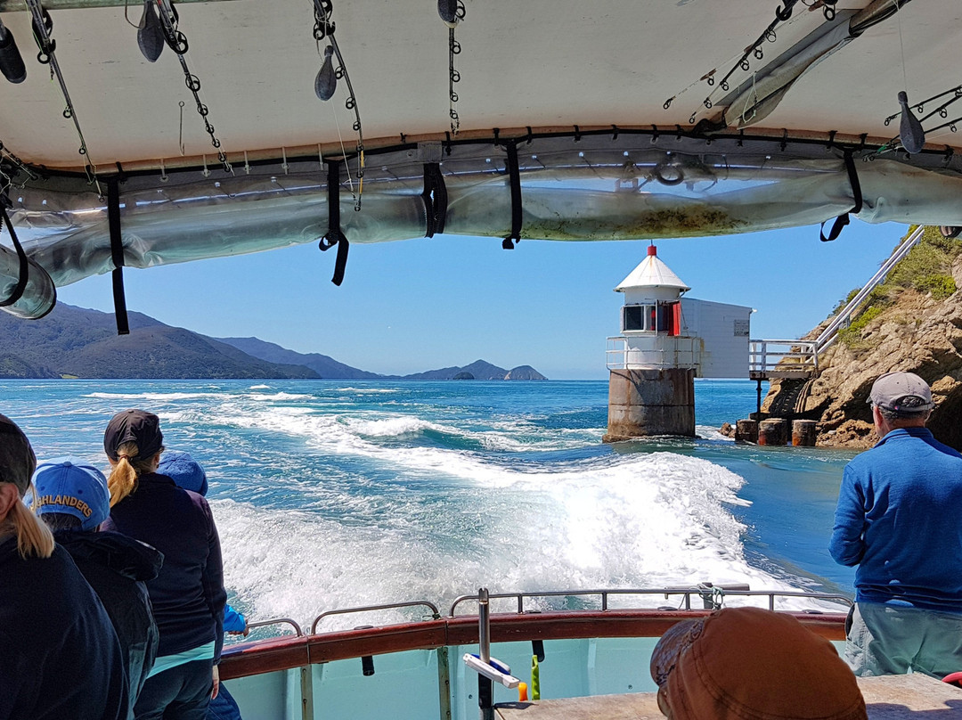 Driftwood Eco Tours-Kaikoura必去景点
