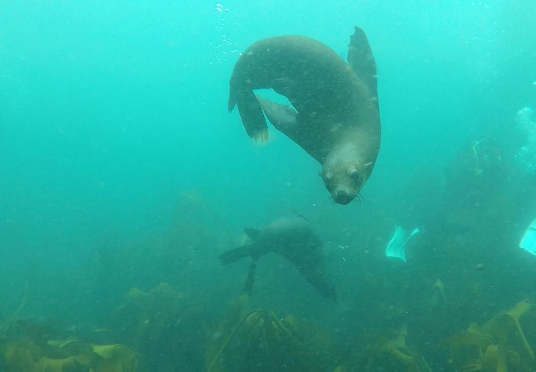 Apnea Addicts Freediving-西门镇必去景点