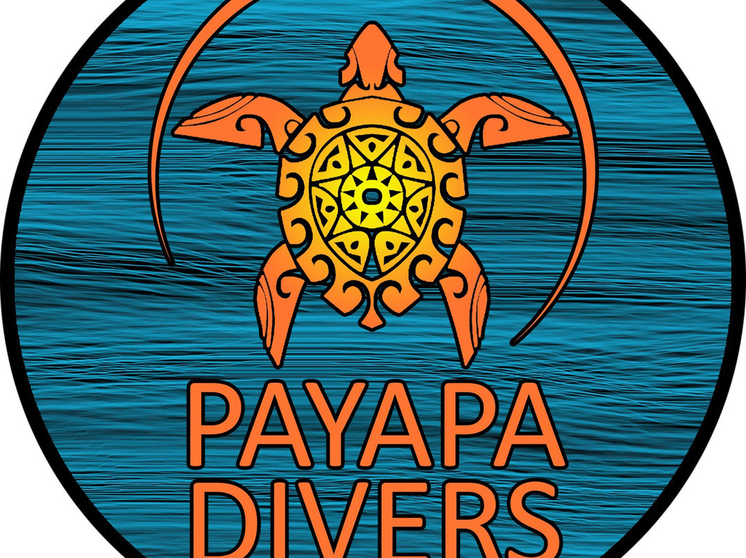 Payapa Divers景点图片