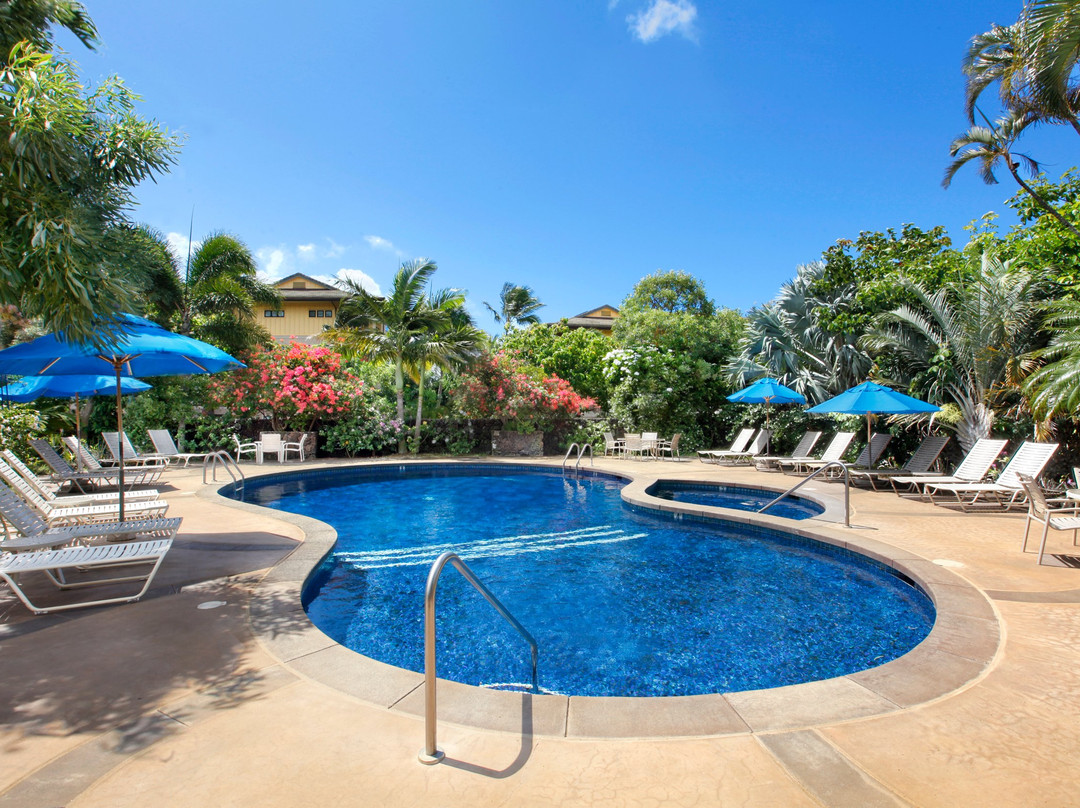 Waikomo Stream Villas