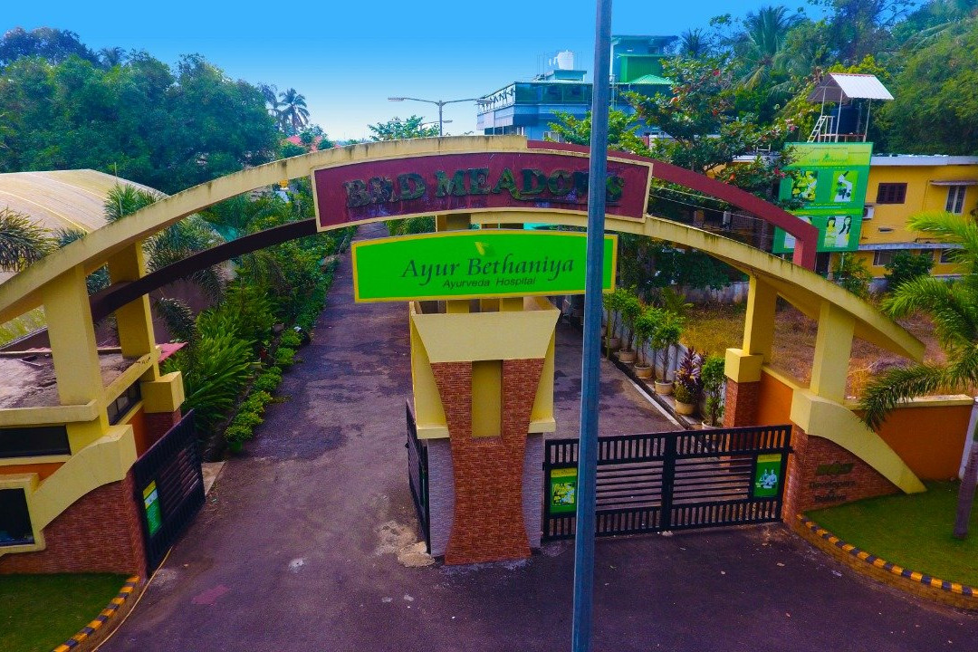 Ayur Bethaniya