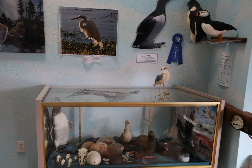 Whale, Sea Life and Shark Museum-Depoe Bay必去景点