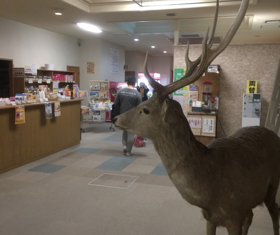 Eniwa Onsen La Foret-惠庭市必去景点