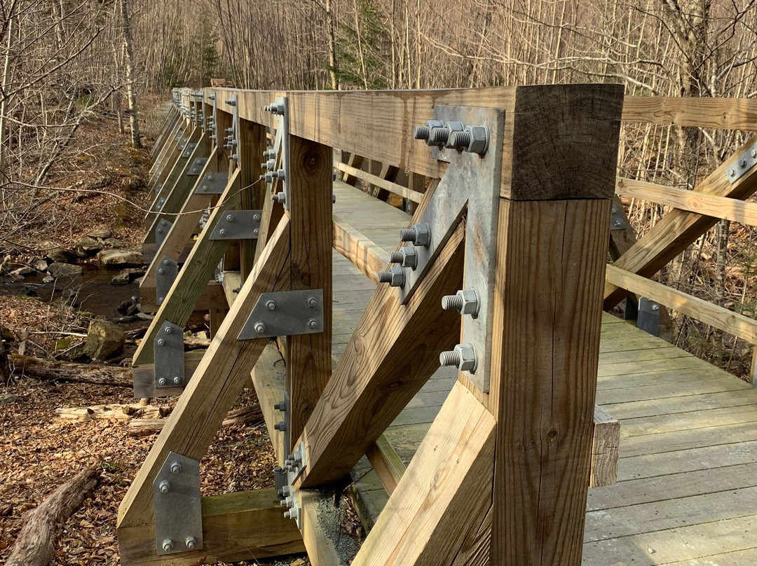 Limberlost Trail-雪兰多国家公园必去景点