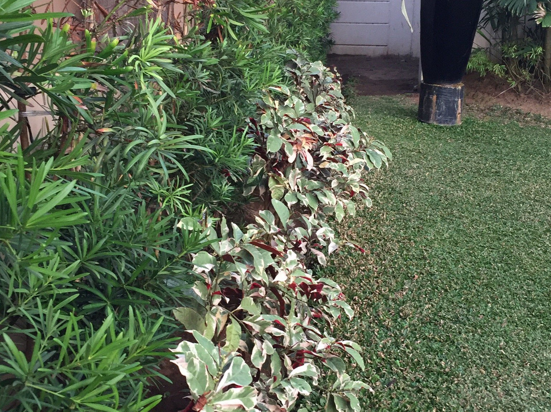 Costa del Sol Resort Hotel主图