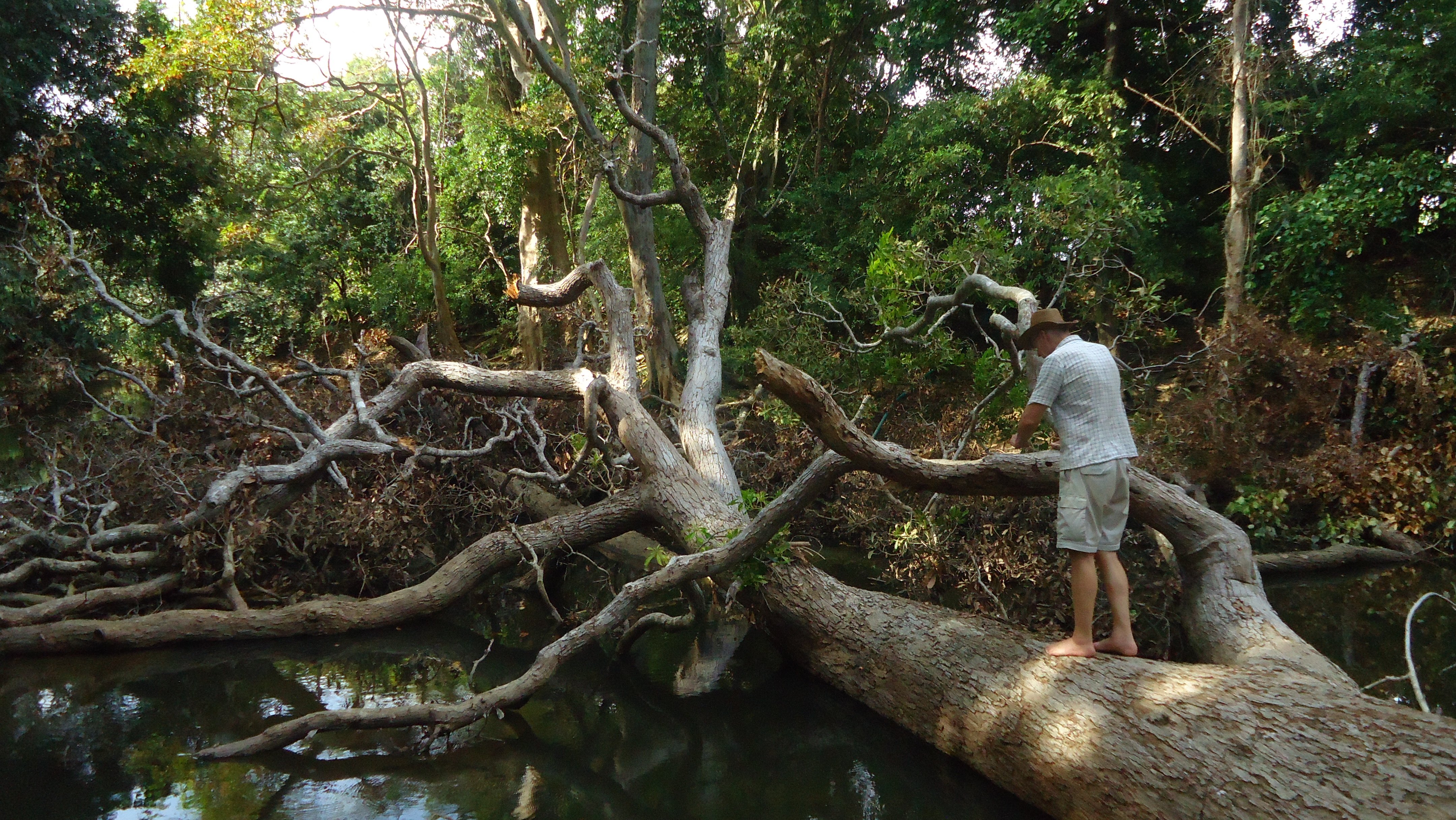 Heina Nature Resort - Yala-官方