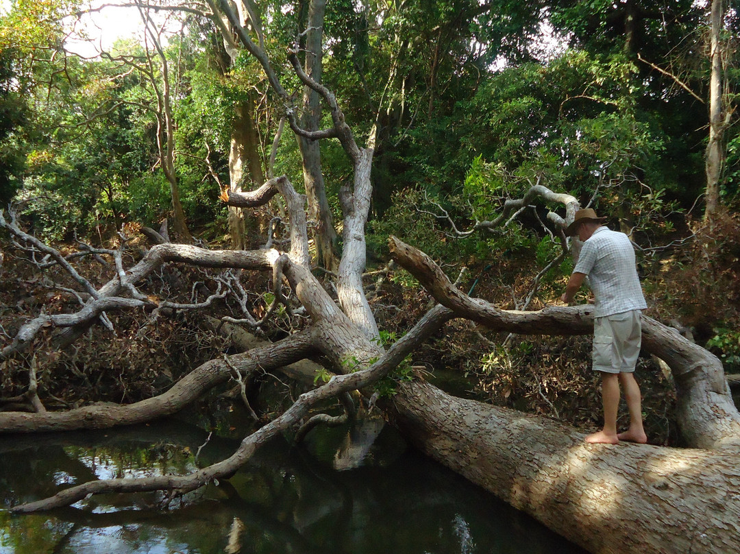 Heina Nature Resort - Yala主图