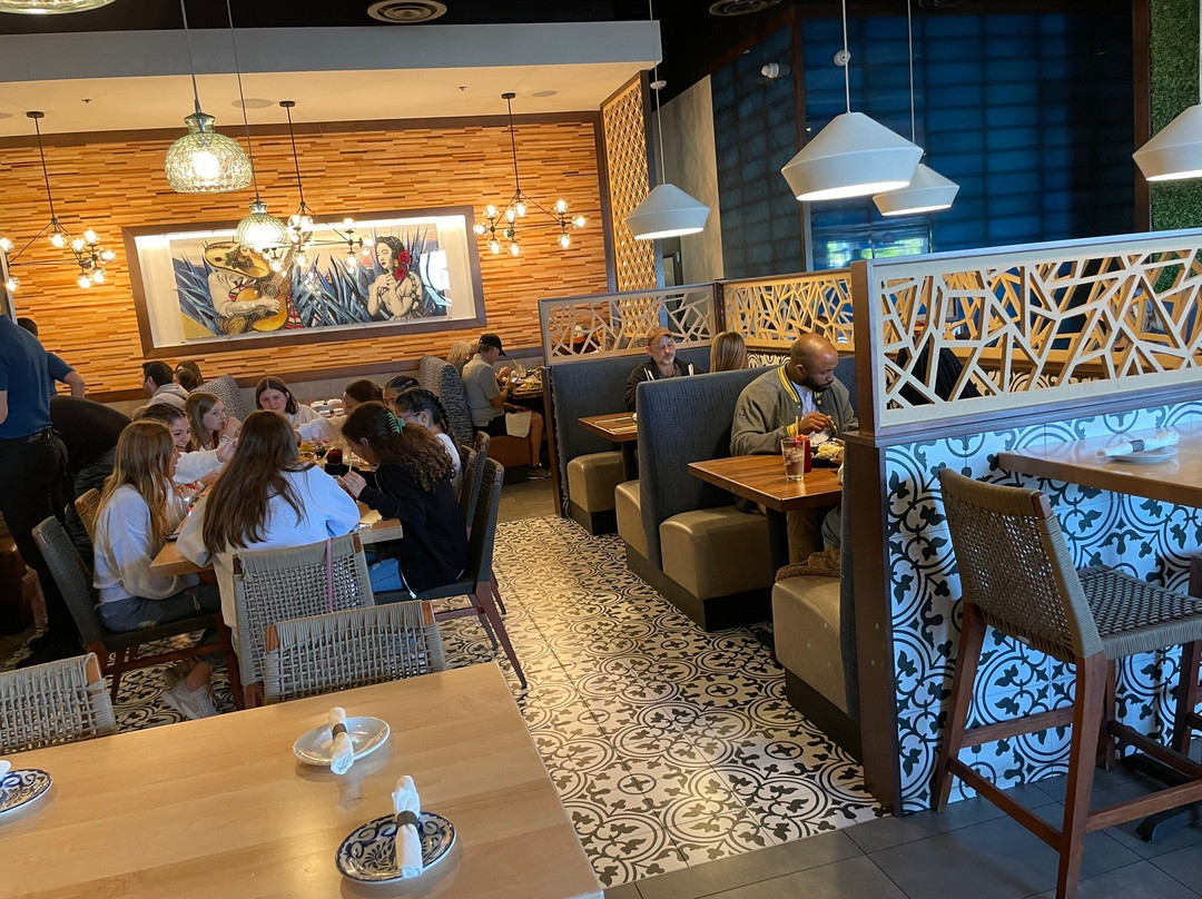 Agave Azul Cocina Mexicana - Windermere