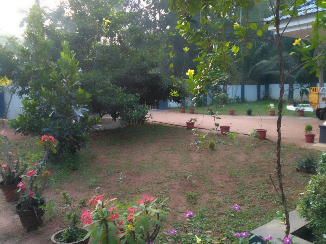 Diya's Inn Marari主图