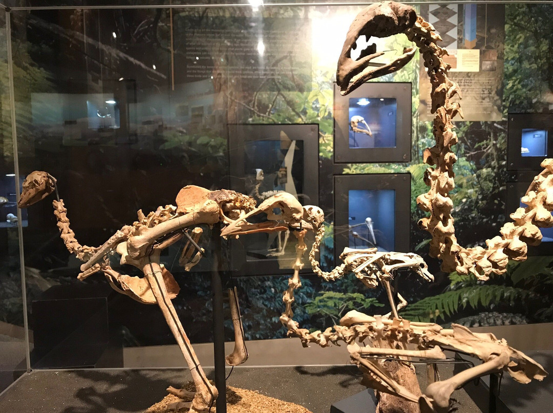 Waitomo Caves isite Visitor Information Centre-怀托摩洞穴必去景点