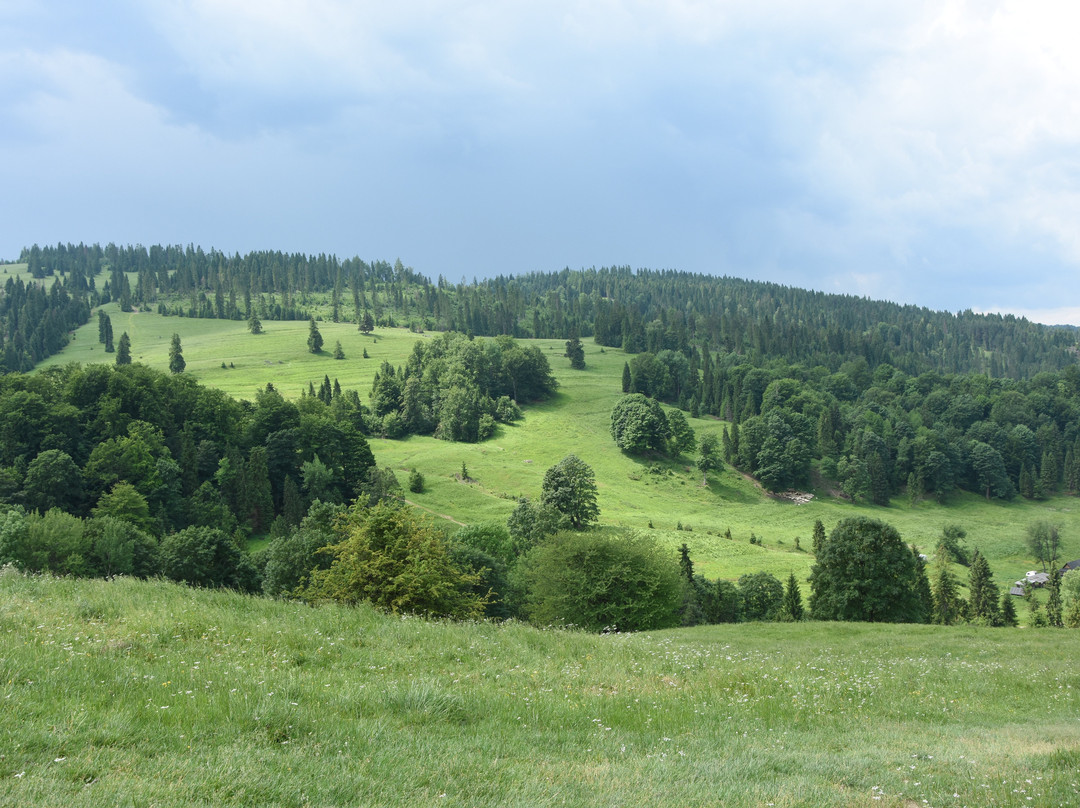 Hniezdne旅游攻略图片